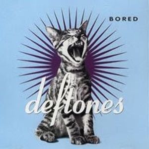 Meet your Posher, Adryan